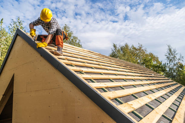 Roof Gutter Cleaning in St Matthews, SC